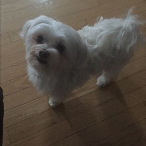 Meet your Posher, Kate